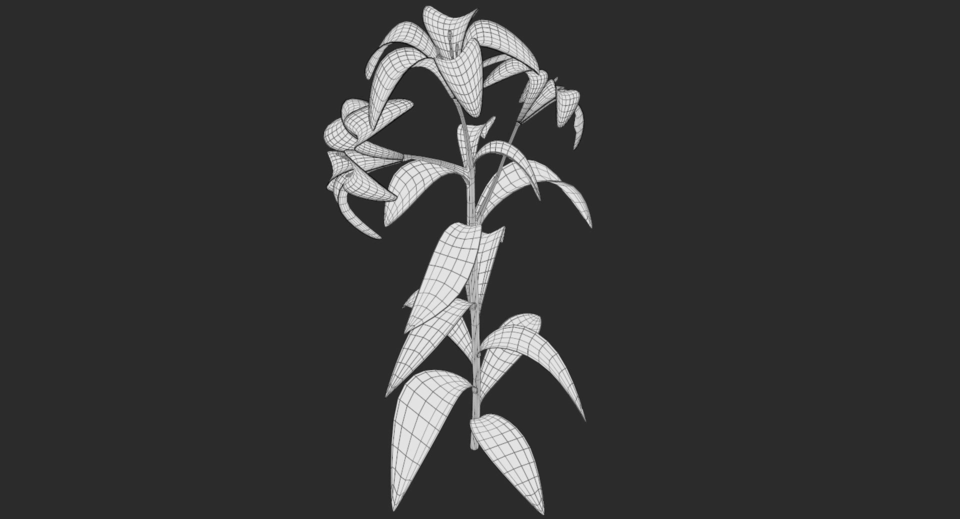 3D lily white https://p.turbosquid.com/ts-thumb/jY/JQc24i/sPIeOV3a/screenshot010/png/1554403854/1920x1080/fit_q87/995e5ded6415e4e4744773e9ddc166ec9bbe72c6/screenshot010.jpg