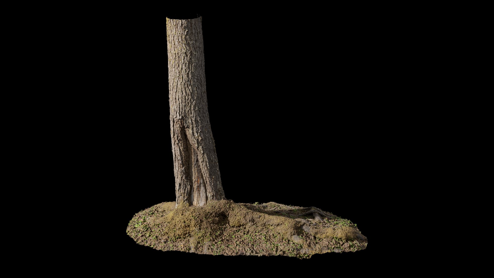 3D anydrafts Abies Trunk 02 combination https://p.turbosquid.com/ts-thumb/jY/JbpCmZ/Hu/ad_abies_trunk_09_preview/png/1731555098/1920x1080/fit_q87/5be19ed12ad55c6b13b5599077b16ebb71c17131/ad_abies_trunk_09_preview.jpg