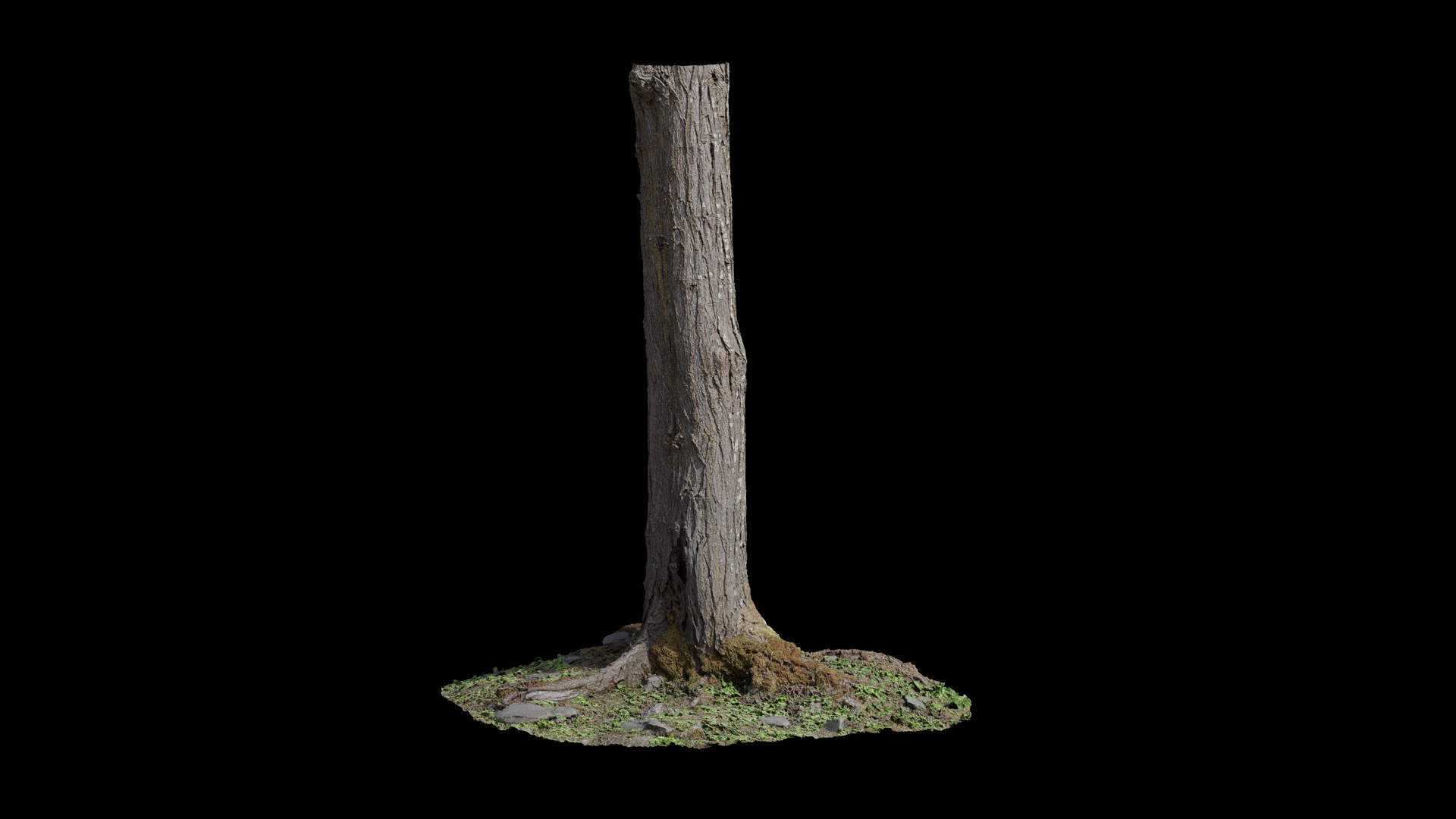 3D anydrafts Abies Trunk 02 combination https://p.turbosquid.com/ts-thumb/jY/JbpCmZ/JK/ad_abies_trunk_02_preview_01/png/1731555096/1920x1080/fit_q87/7c10ae002cf8cbdb69483d1618e7ac2abf812d2e/ad_abies_trunk_02_preview_01.jpg
