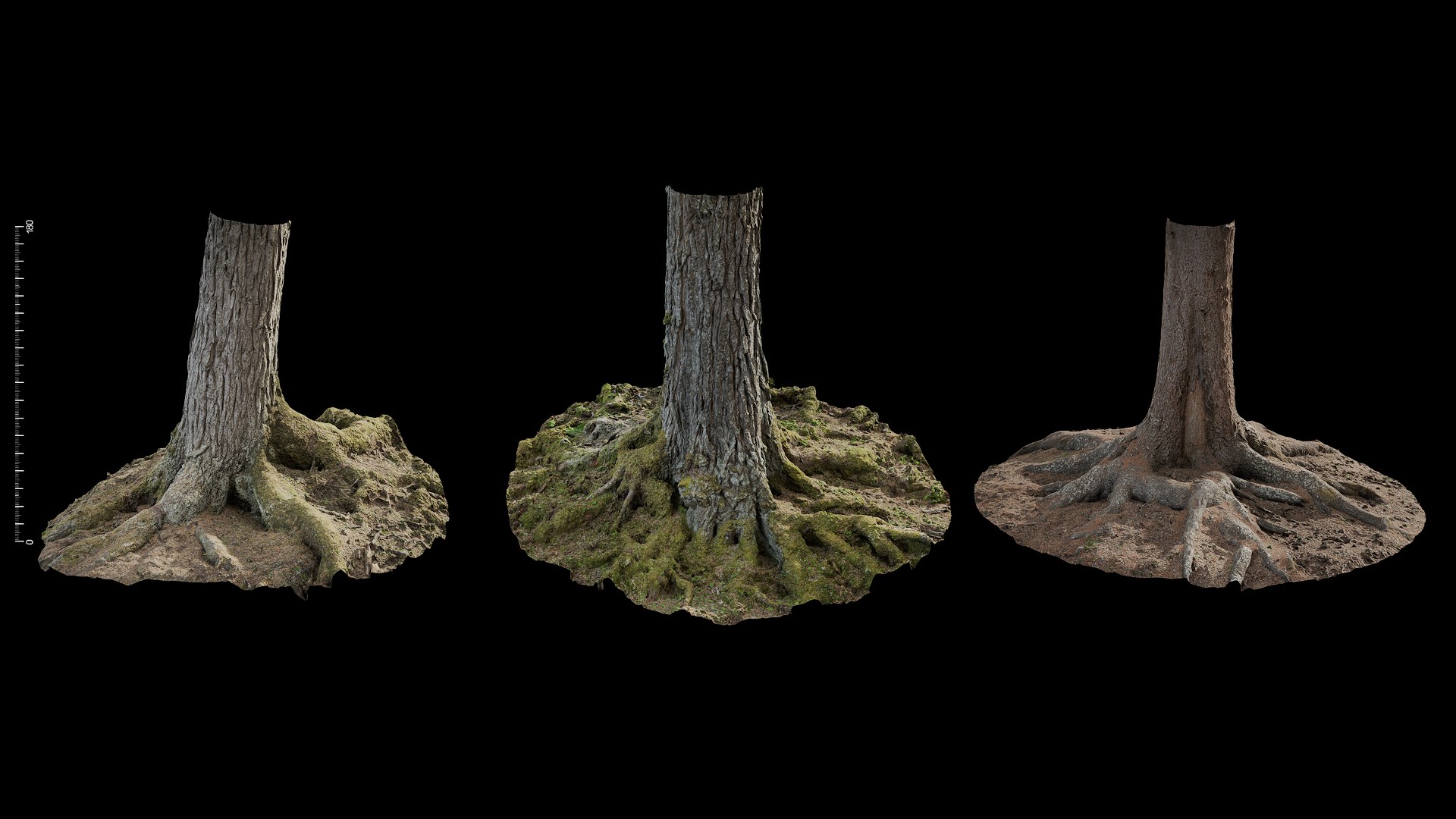 3D anydrafts Abies Trunk 02 combination https://p.turbosquid.com/ts-thumb/jY/JbpCmZ/dF/0407_fullquality/png/1731555090/1920x1080/fit_q87/8db0600929373077f3d34fbd09a99ef9be7647fc/0407_fullquality.jpg