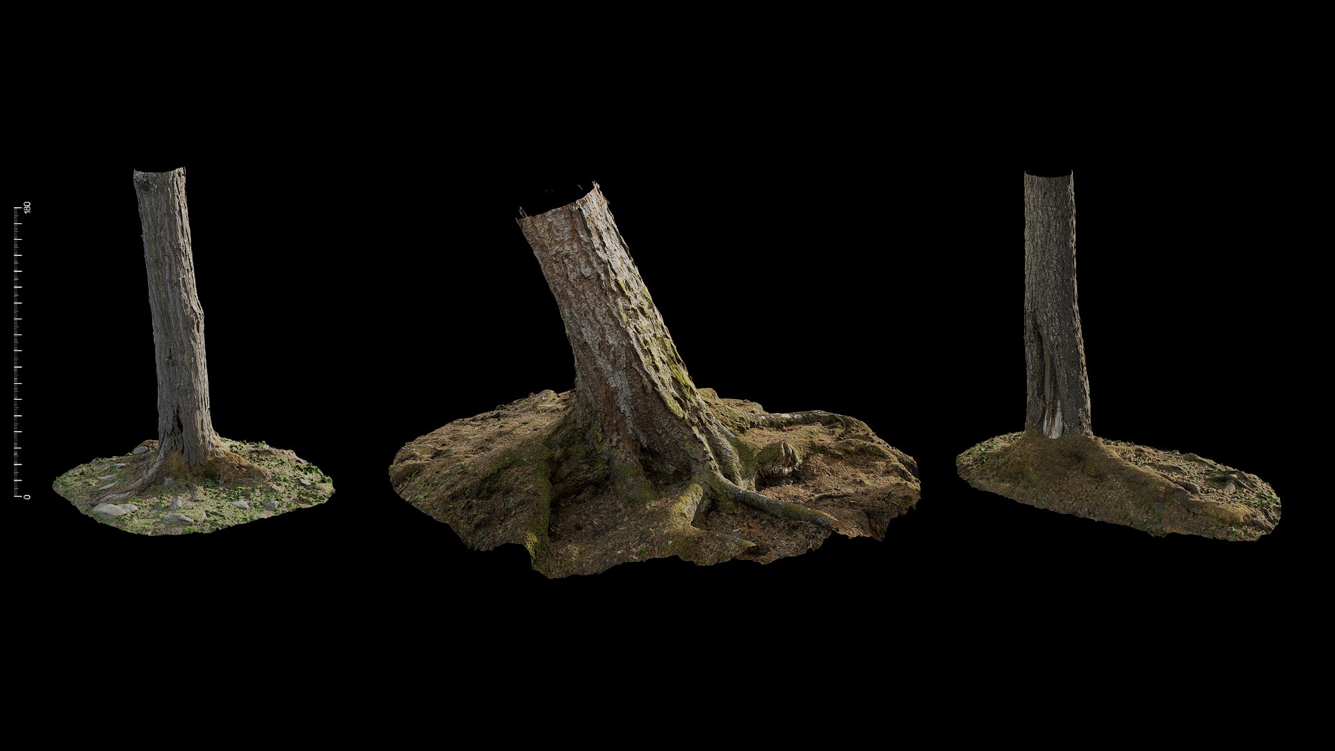 3D anydrafts Abies Trunk 02 combination https://p.turbosquid.com/ts-thumb/jY/JbpCmZ/ih/0103_fullquality/png/1731555094/1920x1080/fit_q87/bcd6d21053809fd93c599cef27ea2fb120e1b623/0103_fullquality.jpg
