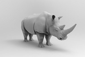 rhinoceros 3D model