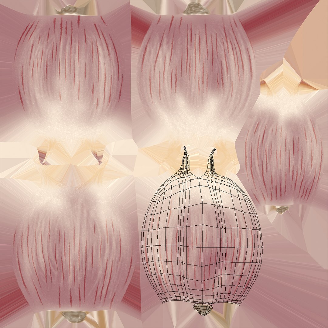 Clove Garlic White 3D model https://p.turbosquid.com/ts-thumb/jY/T0wDGM/6A/clovegarlicwhite3dmodel012/jpg/1709362574/1920x1080/fit_q87/d158f972807276318a51d7ec99e5c73b082baabf/clovegarlicwhite3dmodel012.jpg