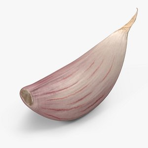 Clove Garlic White 3D model