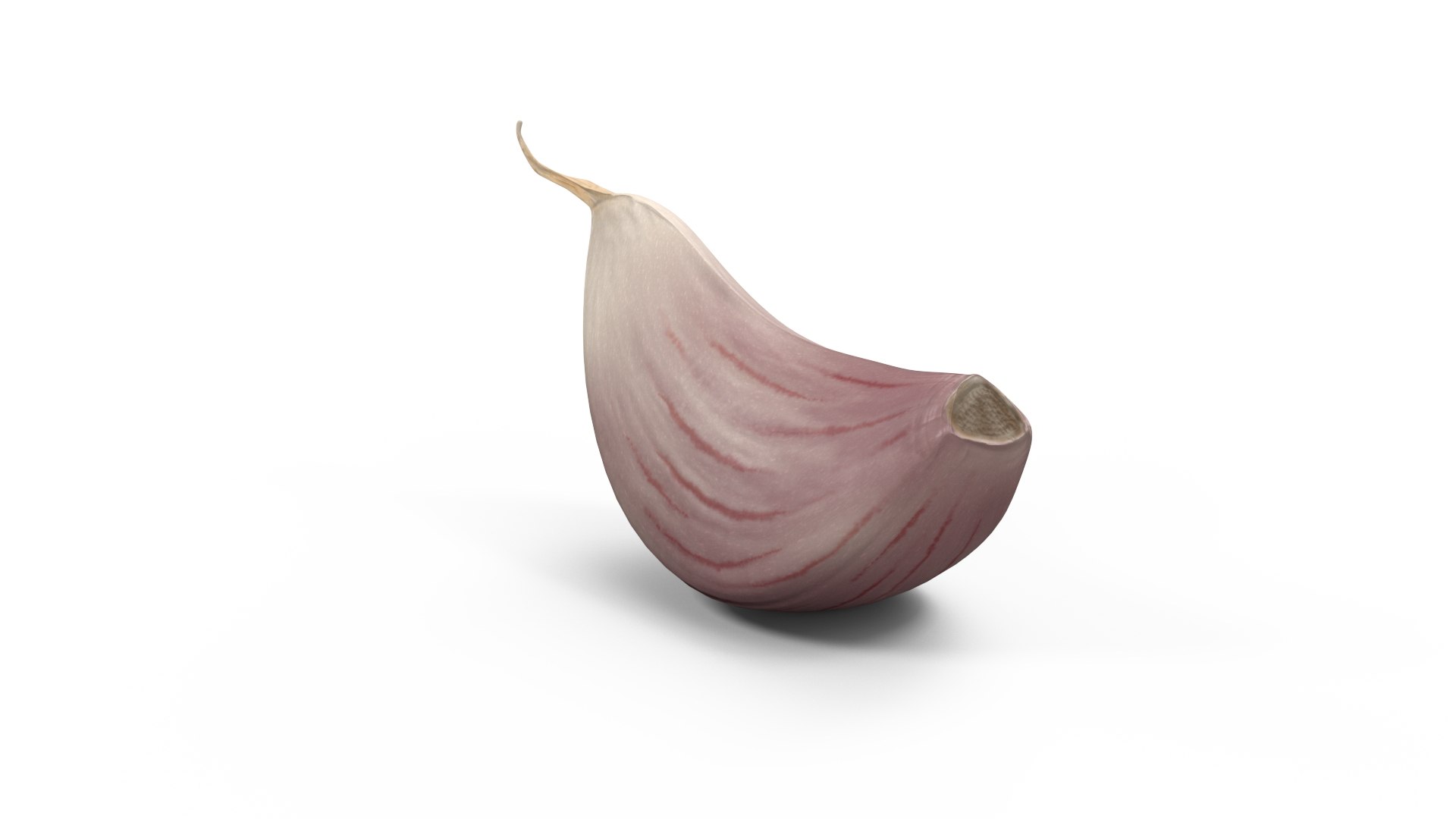 Clove Garlic White 3D model https://p.turbosquid.com/ts-thumb/jY/T0wDGM/bV/clovegarlicwhite3dmodel006/jpg/1709362548/1920x1080/fit_q87/2faa3cb731f2b0639542db8b005588dddcb2b1d8/clovegarlicwhite3dmodel006.jpg