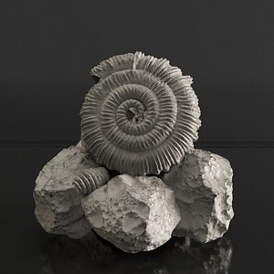 sea fossil 3D model
