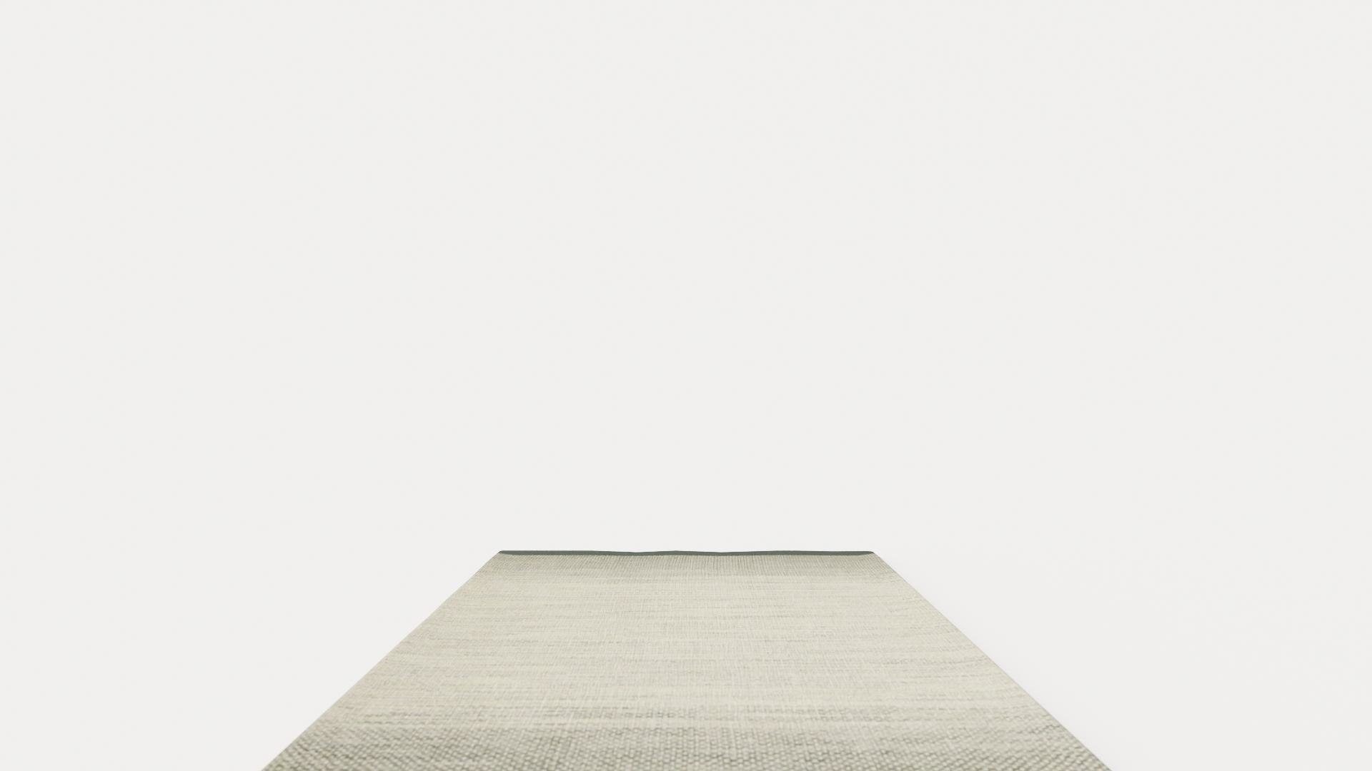 3D LULE GREEN Rug model https://p.turbosquid.com/ts-thumb/jY/fgpLd6/Aj/preview_4/jpg/1716805708/1920x1080/fit_q87/f431f4890c57709d8674bb3e20b1ed4e92b8d29e/preview_4.jpg