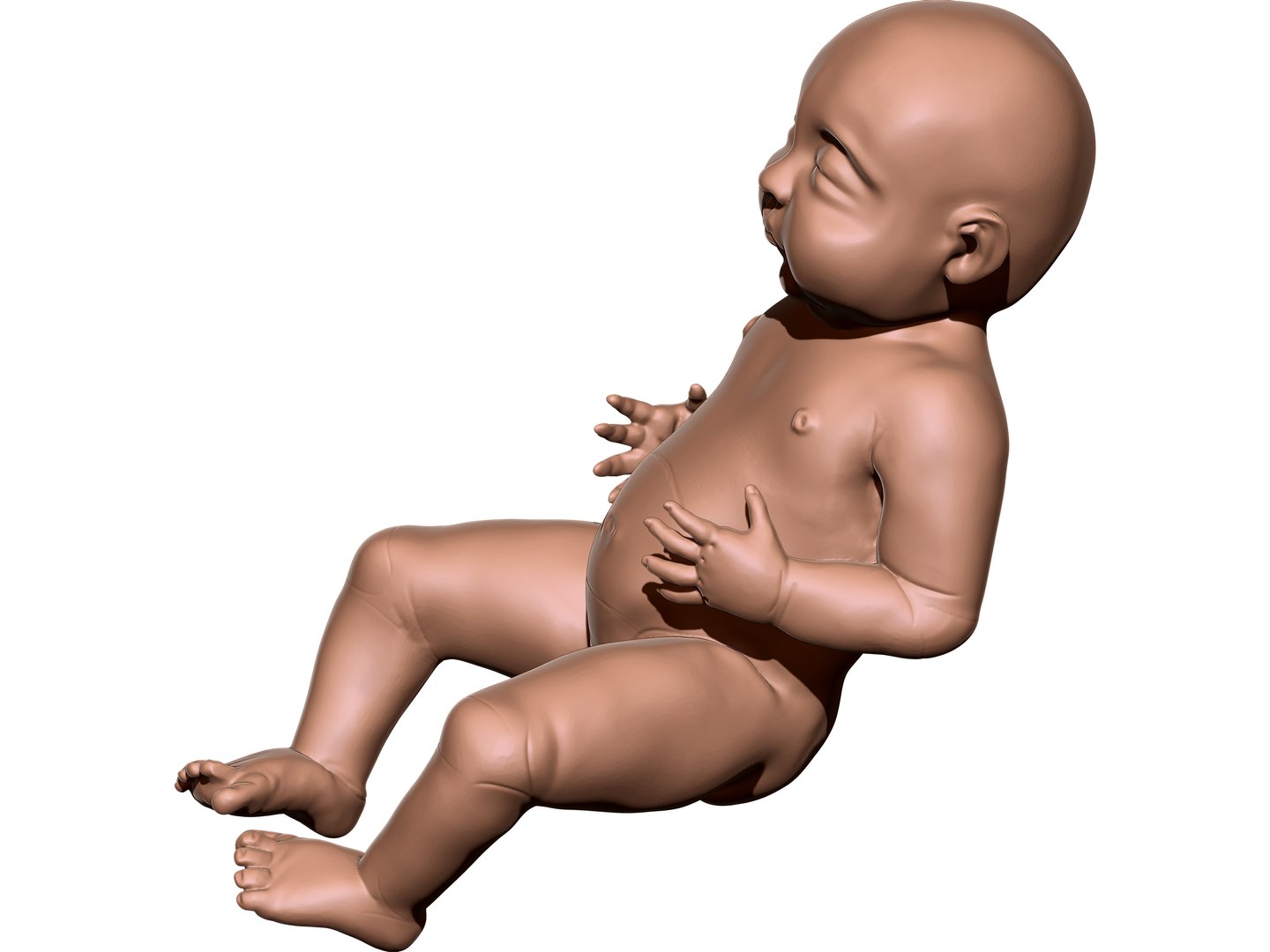 Newborn Baby Highpoly 3D Model - TurboSquid 1967437