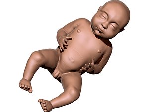 newborn baby highpoly 3D model