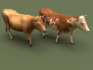cow s 3ds