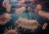 Microscopic bacteria cells floating in blue water background 3d render illustration