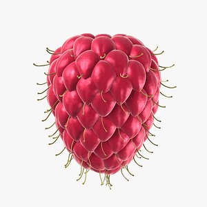 raspberry ruit