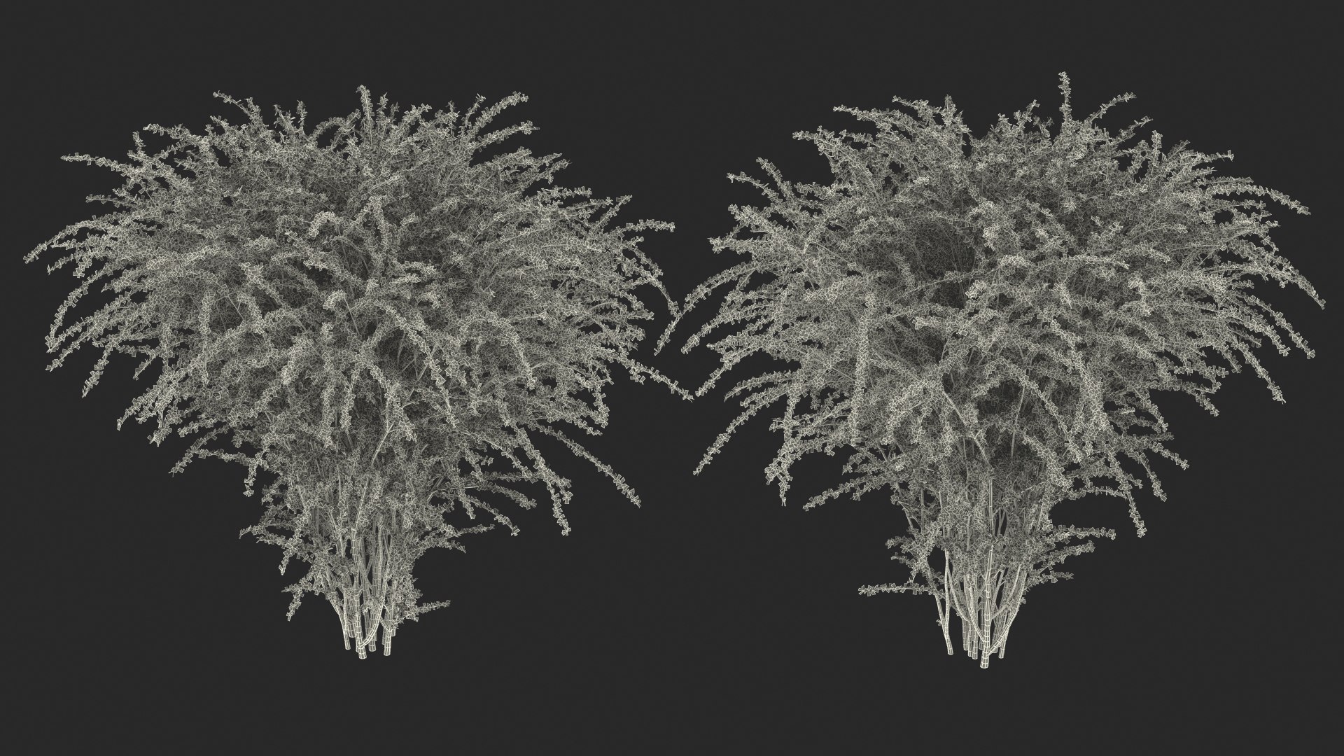 Barberry Bush Red model https://p.turbosquid.com/ts-thumb/jZ/3saKLQ/A7/barberrybushredmb3dmodel026/jpg/1640876975/1920x1080/fit_q87/09a0684d23a3cc2c17439a85266a8f759d7303e9/barberrybushredmb3dmodel026.jpg