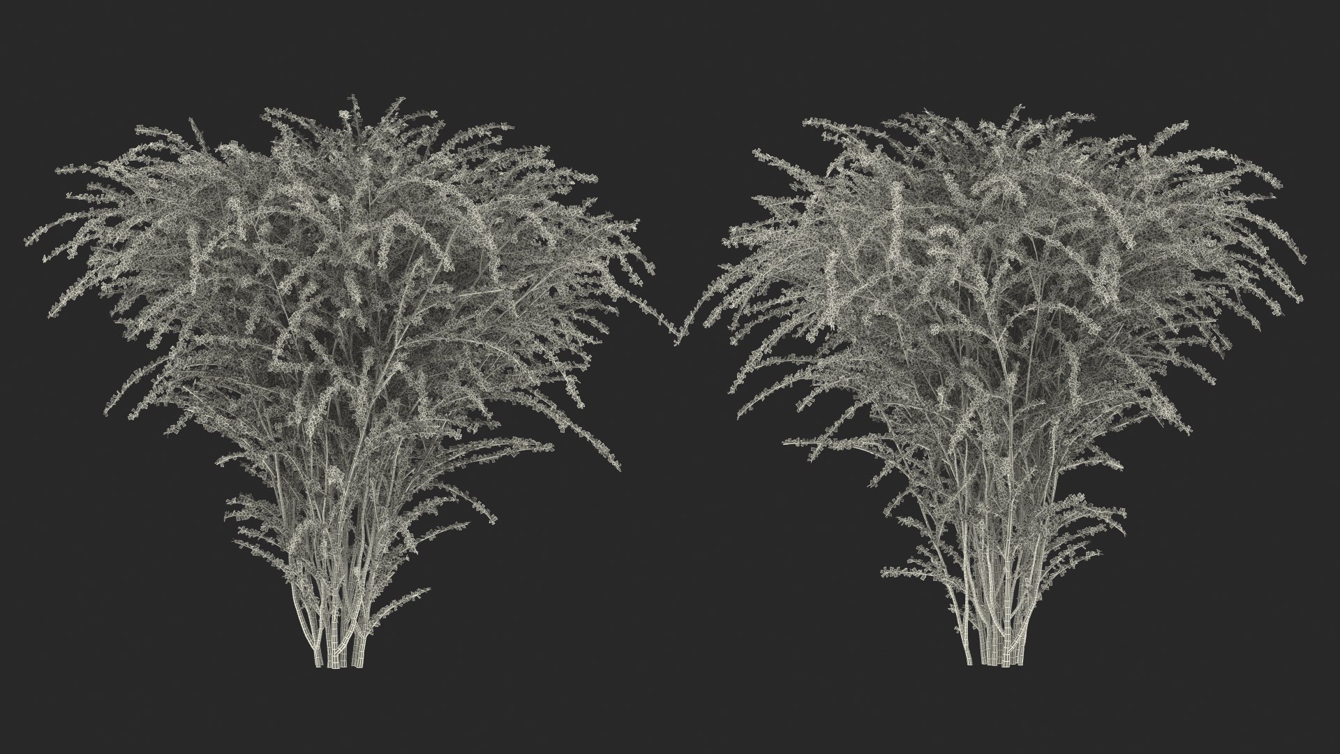 Barberry Bush Red model https://p.turbosquid.com/ts-thumb/jZ/3saKLQ/SN/barberrybushredmb3dmodel025/jpg/1640876972/1920x1080/fit_q87/e436eb2caffcb3ea7fe11eb610fc145ad240e61f/barberrybushredmb3dmodel025.jpg