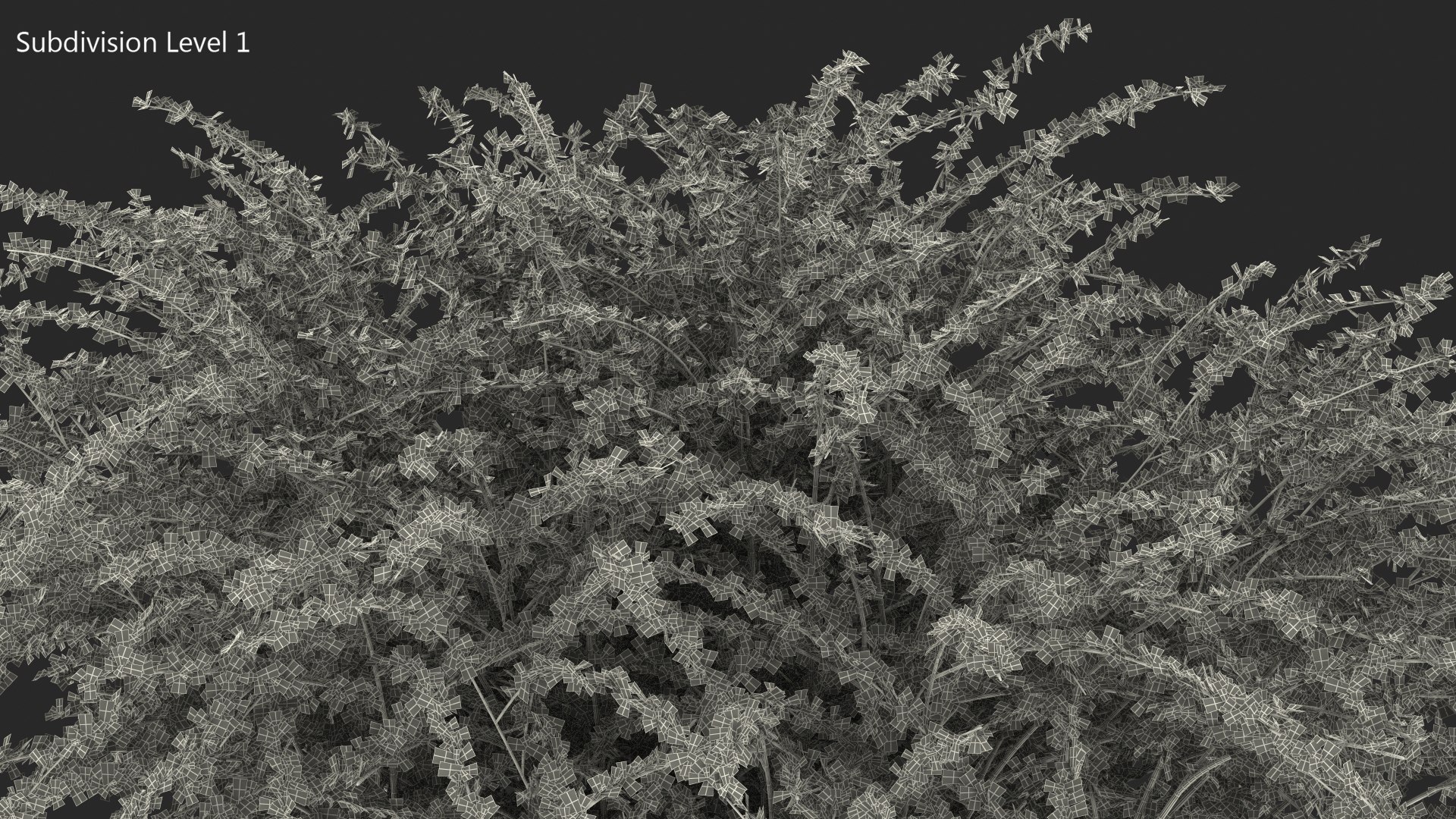 Barberry Bush Red model https://p.turbosquid.com/ts-thumb/jZ/3saKLQ/qx/barberrybushredmb3dmodel017/jpg/1640876949/1920x1080/fit_q87/2ab11d0b420026a789b2da4f3bd0b5c5a02c95e1/barberrybushredmb3dmodel017.jpg
