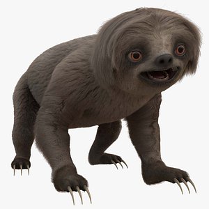 Sloth FUR ANIMATED 3D model