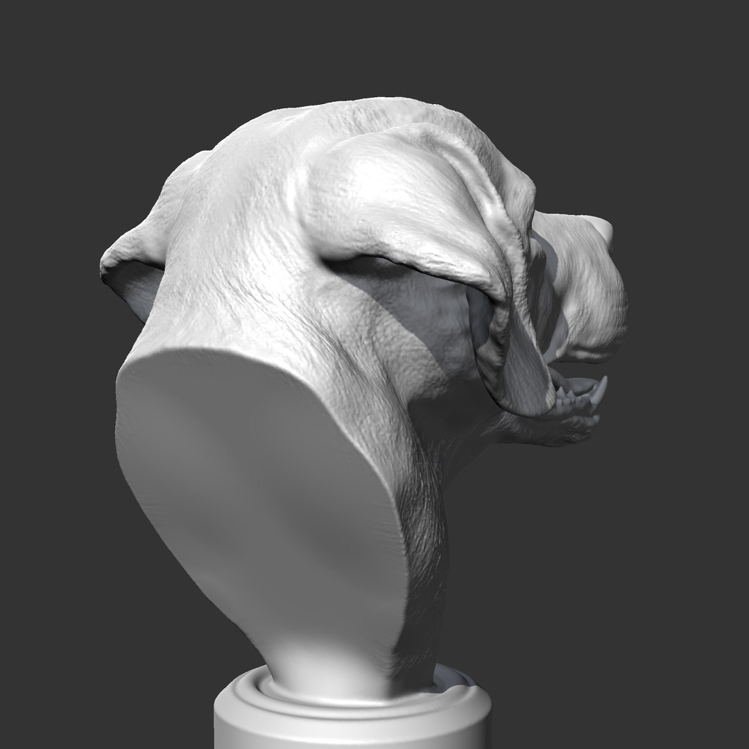 Labrador Retrieve Head AM26 3D Print Model Model - TurboSquid 2184949
