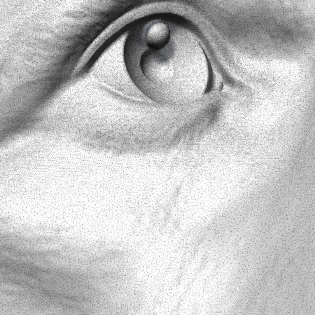 Labrador Retrieve Head AM26 3D Print Model Model - TurboSquid 2184949