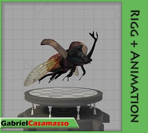 Rhinoceros Beetle