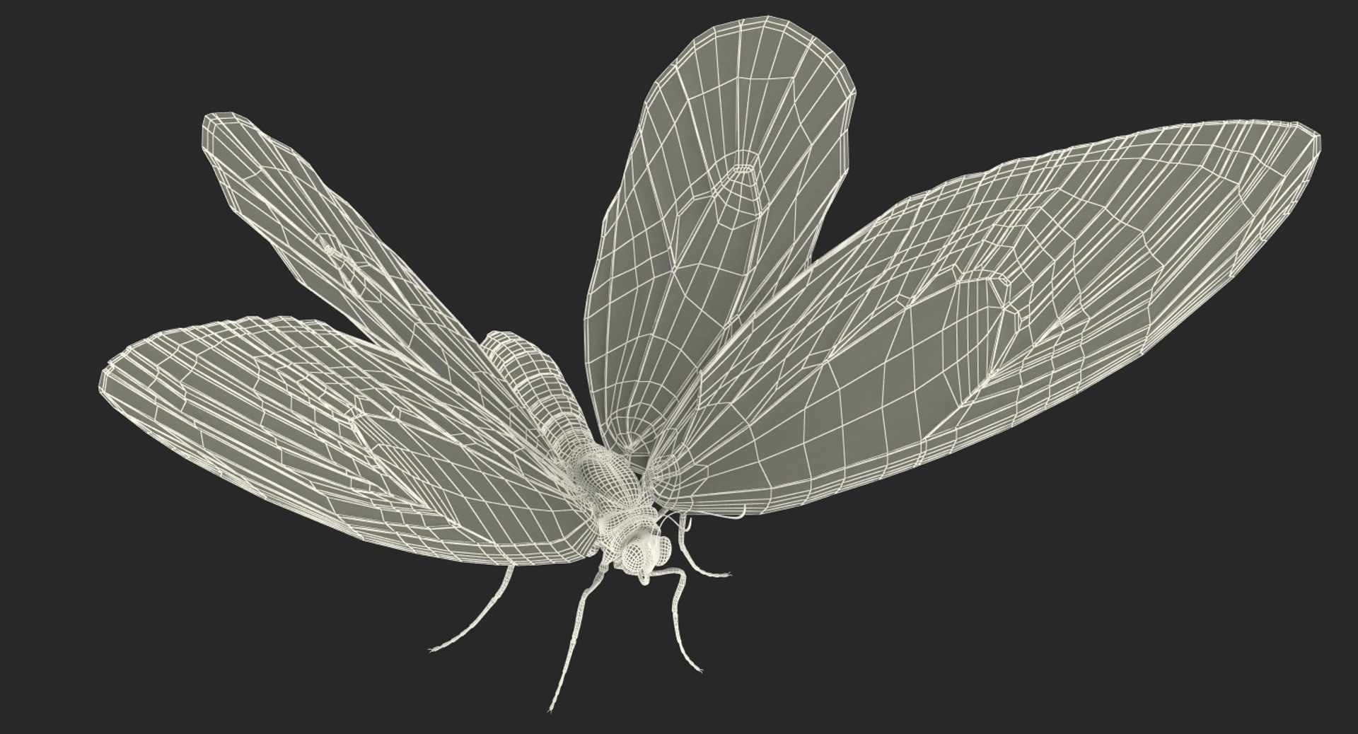 3D queen alexandras birdwing butterfly https://p.turbosquid.com/ts-thumb/jZ/GamHSc/0iJ7uEYI/queenalexandrasbirdwingbutterflyriggedcinema4d3dmodel23/jpg/1498282797/1920x1080/fit_q87/061d5f5e534eec4dc6f54173aec7a7d73582556c/queenalexandrasbirdwingbutterflyriggedcinema4d3dmodel23.jpg