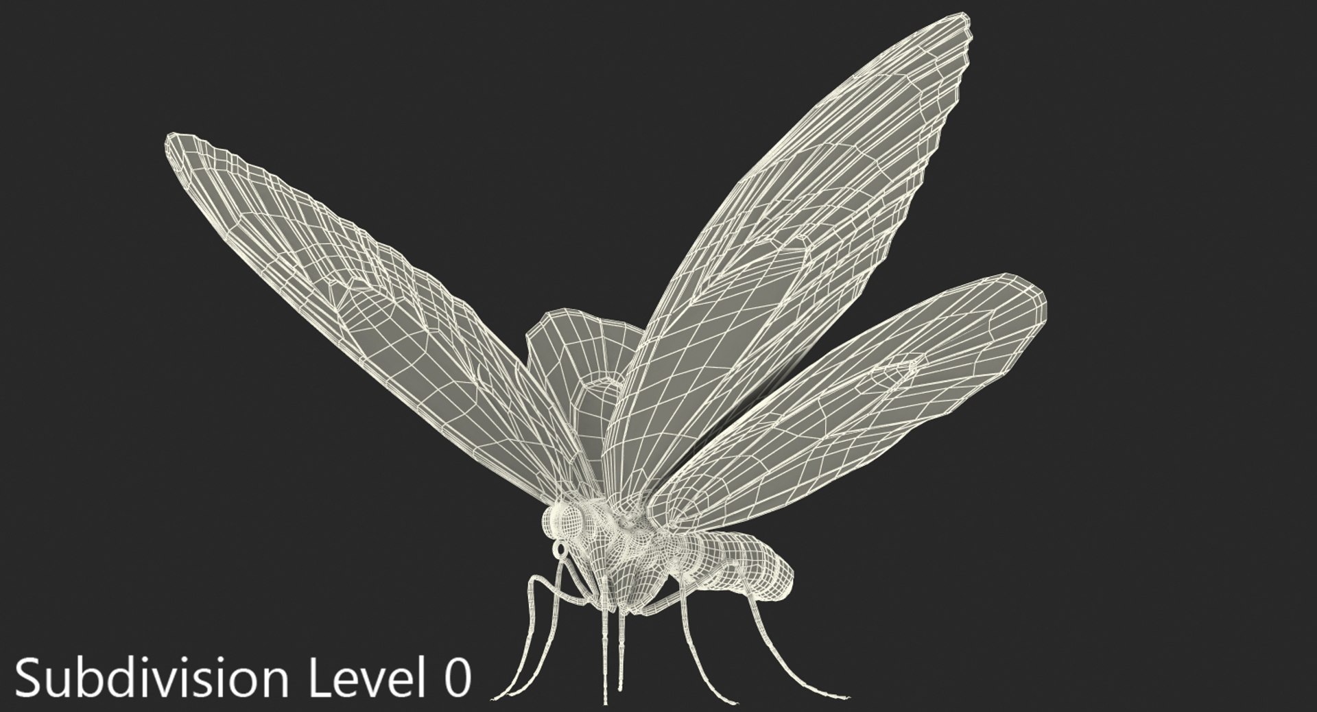 3D queen alexandras birdwing butterfly https://p.turbosquid.com/ts-thumb/jZ/GamHSc/8dKXgMym/queenalexandrasbirdwingbutterflyriggedcinema4d3dmodel18/jpg/1498282797/1920x1080/fit_q87/d5b63697984b5ed8b2f9c9d97604322f25ca8b21/queenalexandrasbirdwingbutterflyriggedcinema4d3dmodel18.jpg