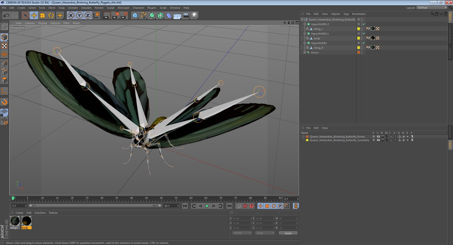 3D queen alexandras birdwing butterfly https://p.turbosquid.com/ts-thumb/jZ/GamHSc/AsdaovF1/queenalexandrasbirdwingbutterflyriggedcinema4d3dmodel15/jpg/1498282797/1920x1080/fit_q87/aaa82e8191bc231367bca97bc2ee6df9fa4c69c2/queenalexandrasbirdwingbutterflyriggedcinema4d3dmodel15.jpg