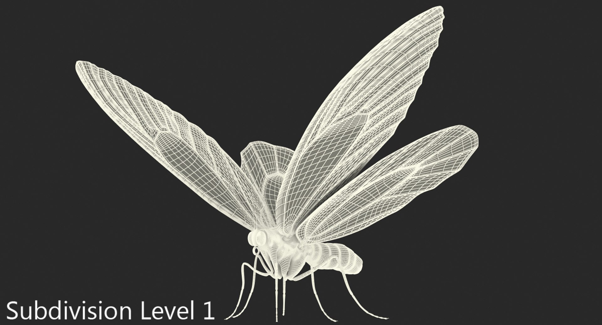 3D queen alexandras birdwing butterfly https://p.turbosquid.com/ts-thumb/jZ/GamHSc/aQ8QaTxf/queenalexandrasbirdwingbutterflyriggedcinema4d3dmodel17/jpg/1498282797/1920x1080/fit_q87/94cd3e99e078c424fedff163680121378c0771fb/queenalexandrasbirdwingbutterflyriggedcinema4d3dmodel17.jpg