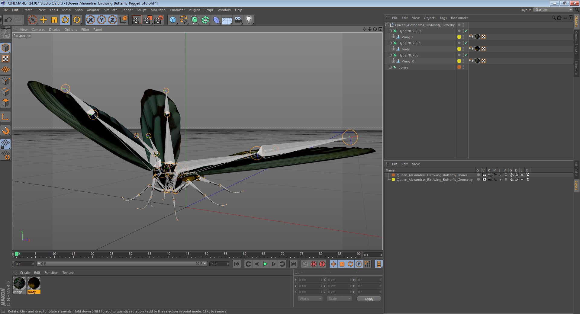 3D queen alexandras birdwing butterfly https://p.turbosquid.com/ts-thumb/jZ/GamHSc/tGfI2V07/queenalexandrasbirdwingbutterflyriggedcinema4d3dmodel16/jpg/1498282797/1920x1080/fit_q87/281fc50b91296d0cbf7204e7b9e10af990eded7b/queenalexandrasbirdwingbutterflyriggedcinema4d3dmodel16.jpg