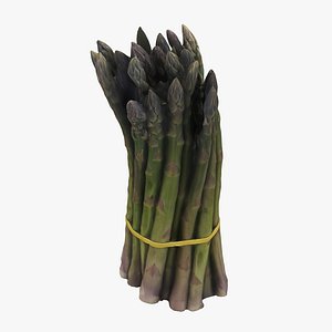3D model asparagus green
