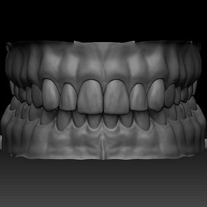 3D realistic human mouth zbrush model