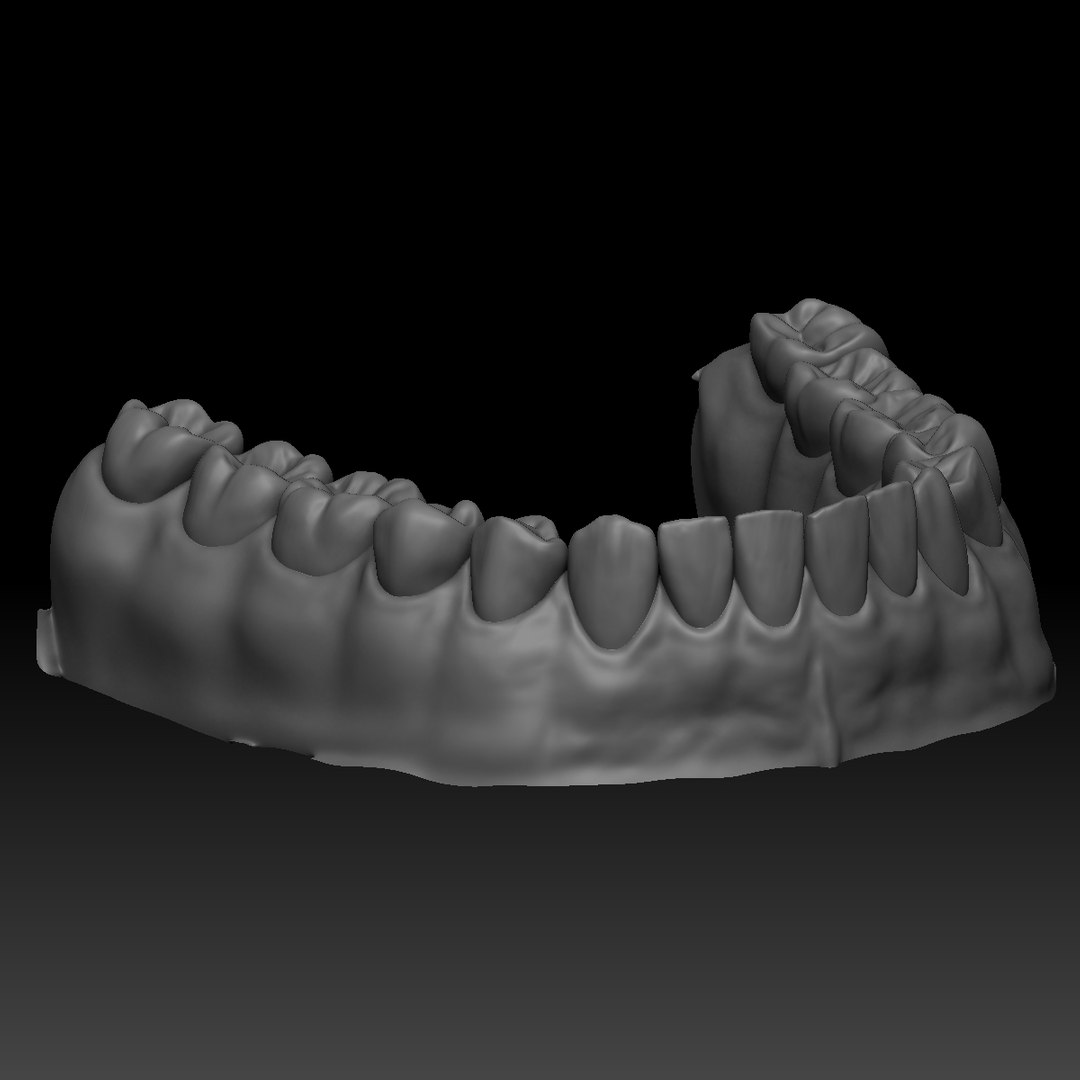 3D Realistic Human Mouth Zbrush Model - TurboSquid 1447486