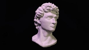 Bust 3D Model David by Michalangelo