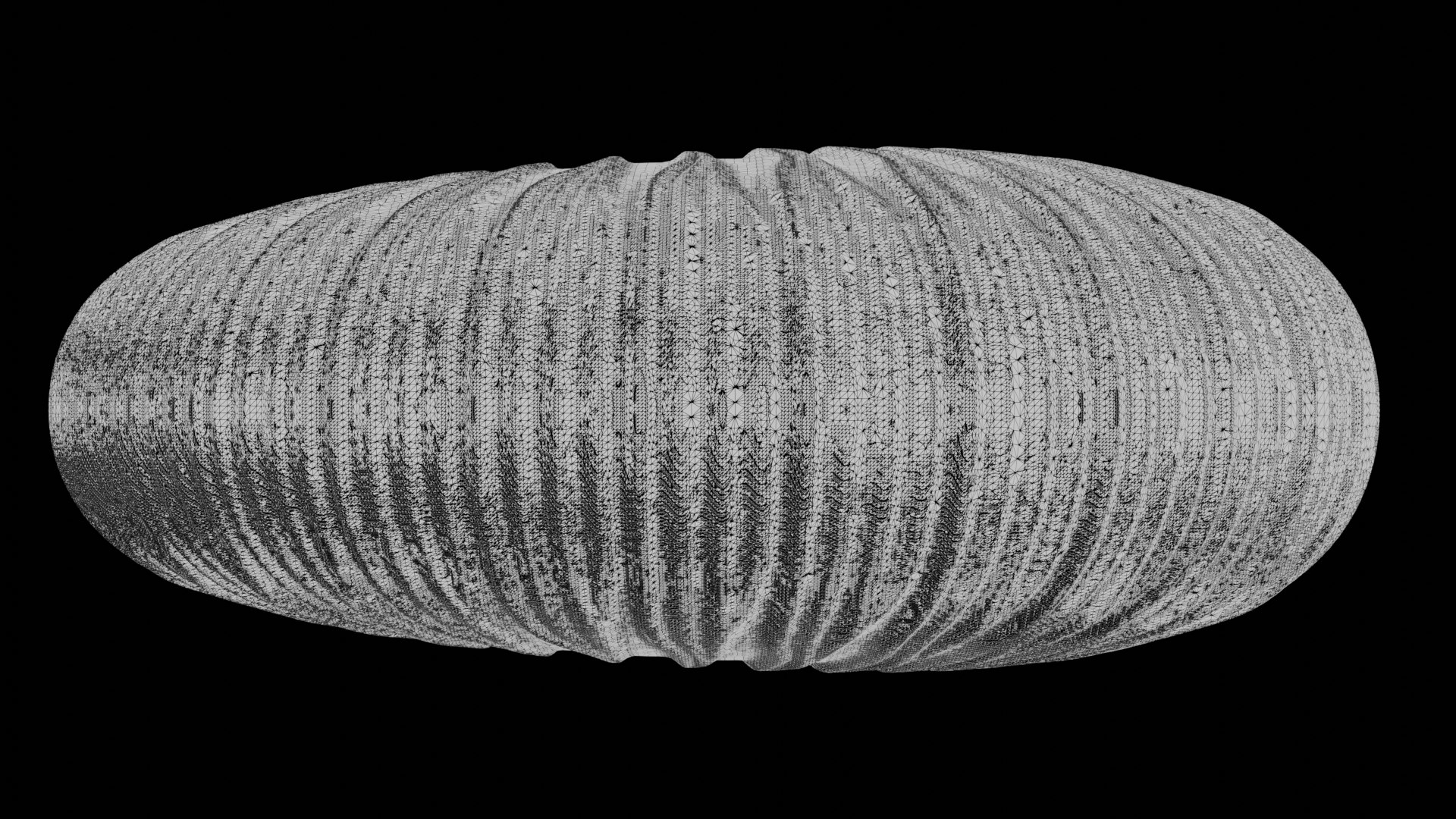 3D Ammonoid Shell With Virgatotome Ribs - TurboSquid 2296644