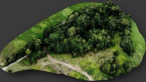 trees terrain forest fields landscape dronescan part4 3D model
