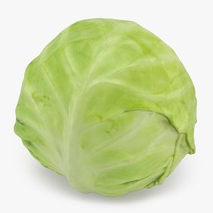 3D Whole Cabbage model