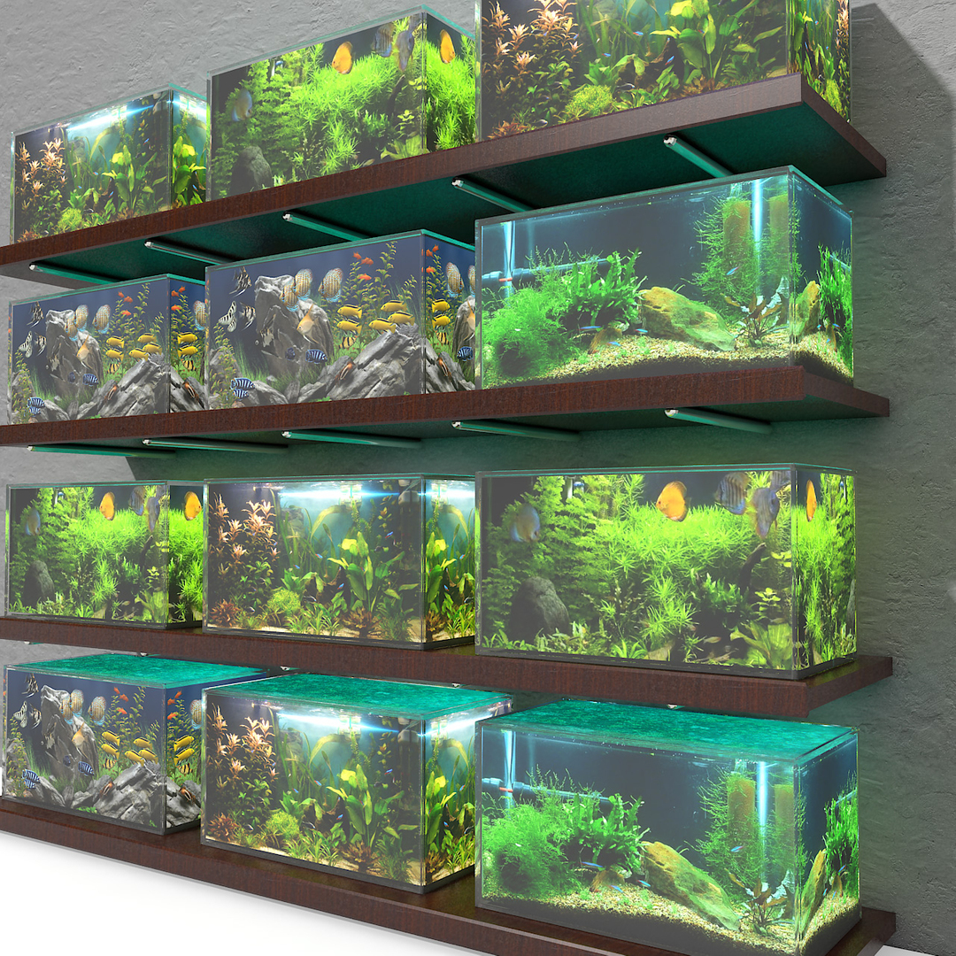 деревянный стеллаж для аквариумов своими руками