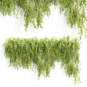 3D Low Poly Hanging wall plants N51802