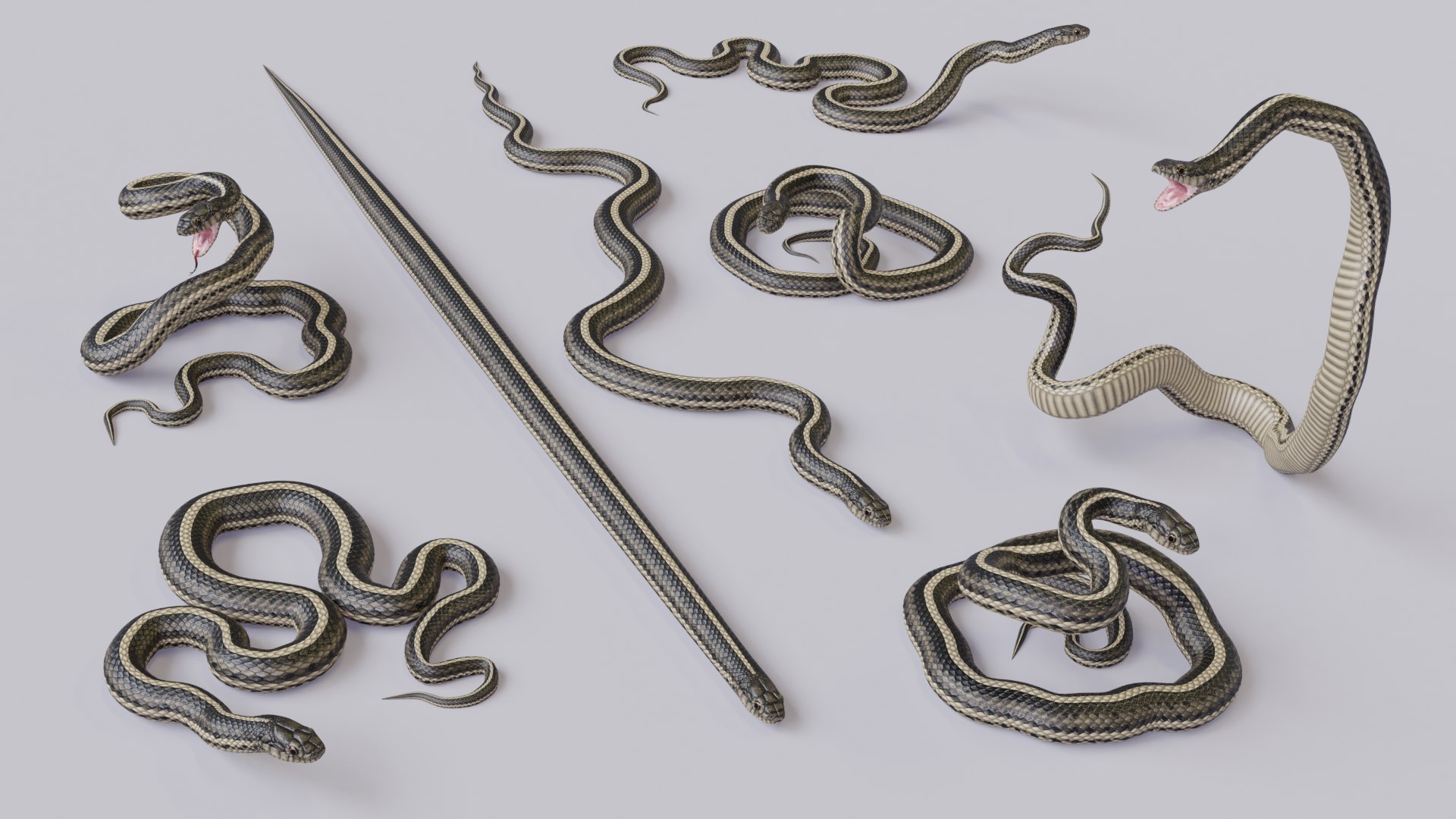 Animated Garter Snake - 3D Model by Dibia Digital