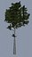 Stevens Tree Pack