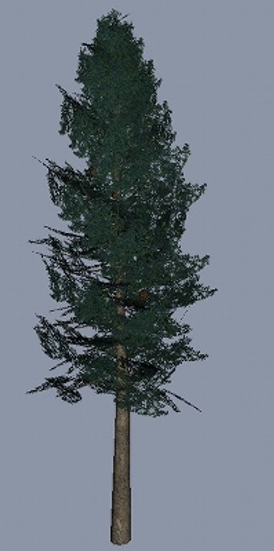 tree pack 3d model https://p.turbosquid.com/ts-thumb/ja/97TCxR/zfhfx1ih/spruce_withbackface/jpg/1234732078/1920x1080/fit_q87/5c4ca31c83a908ae0dd9870ff5b56f2722e3ddde/spruce_withbackface.jpg