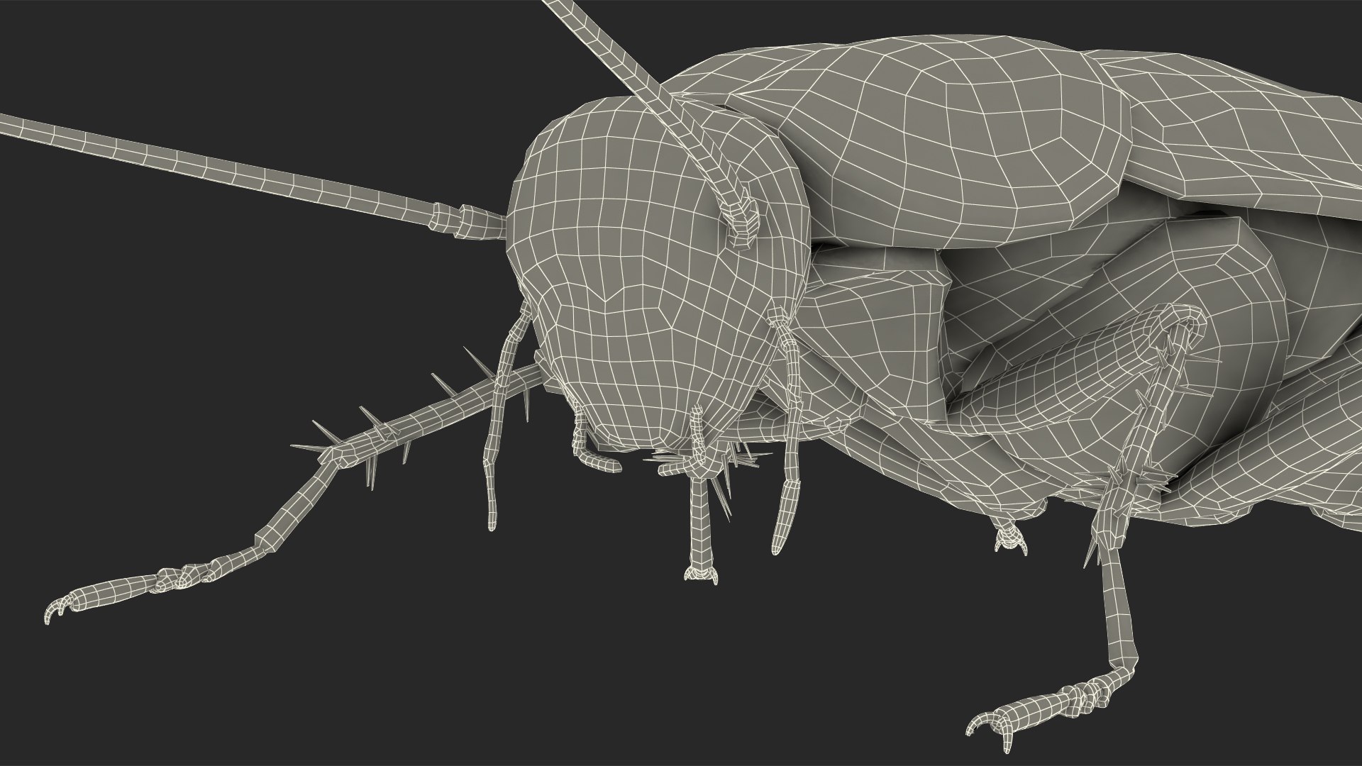 3D Animated Cockroach Spinning Rigged For Maya Model - TurboSquid 2105624