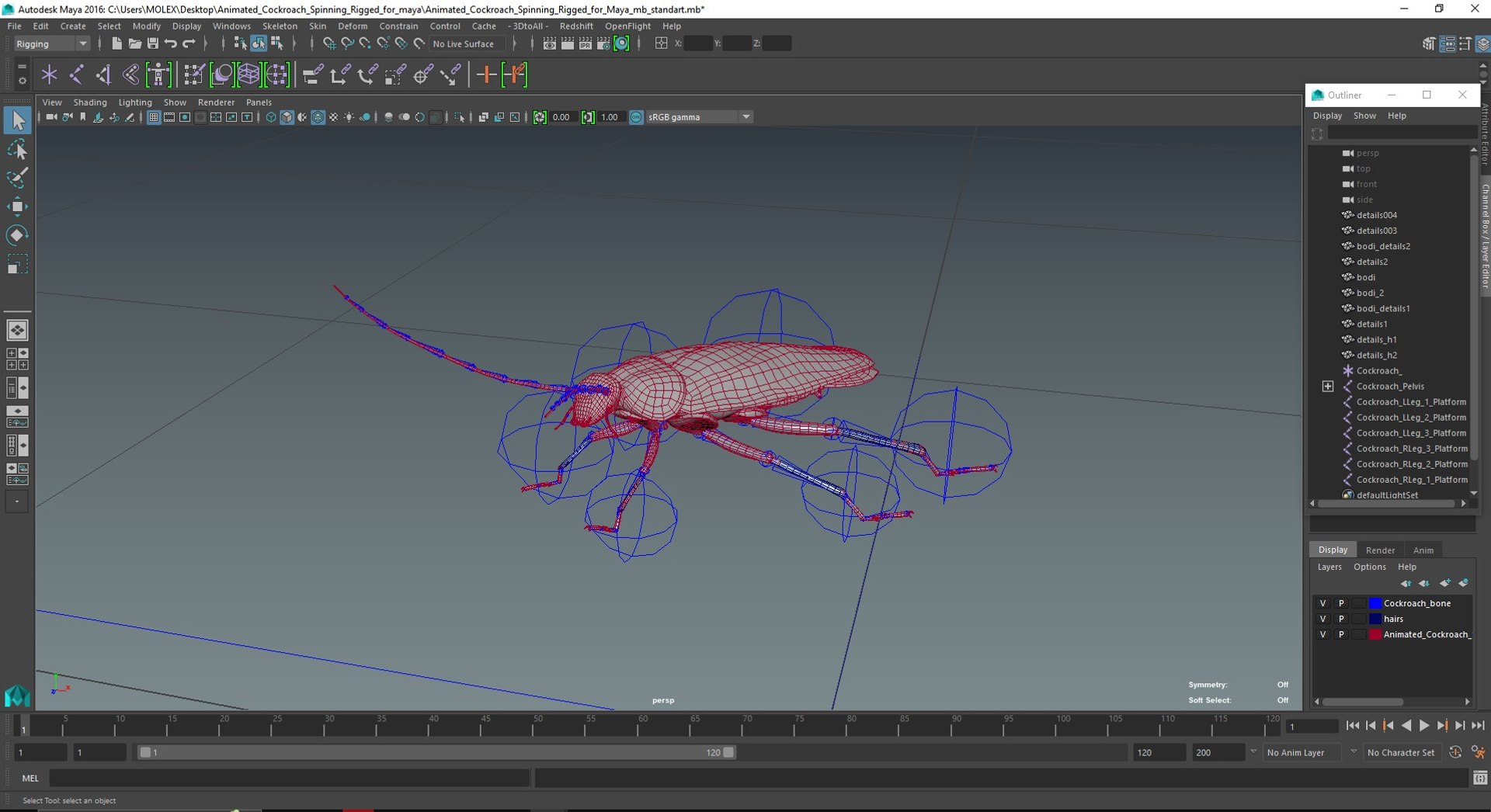 3D Animated Cockroach Spinning Rigged For Maya Model - TurboSquid 2105624