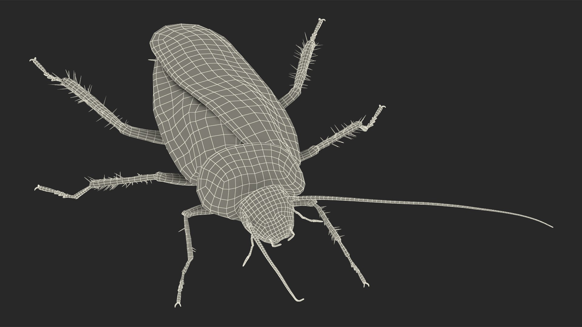 3D Animated Cockroach Spinning Rigged For Maya Model - TurboSquid 2105624
