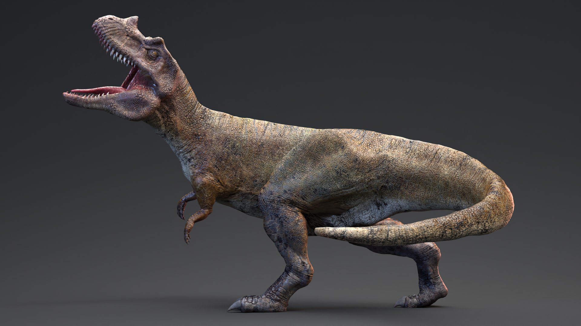 Ceratosaurus Unreal Engine Unity 3D Model - TurboSquid 2201102