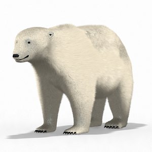3D Polar bear--fur model