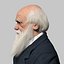 Darwin