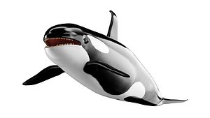 Killer whale