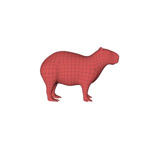Capybara base mesh