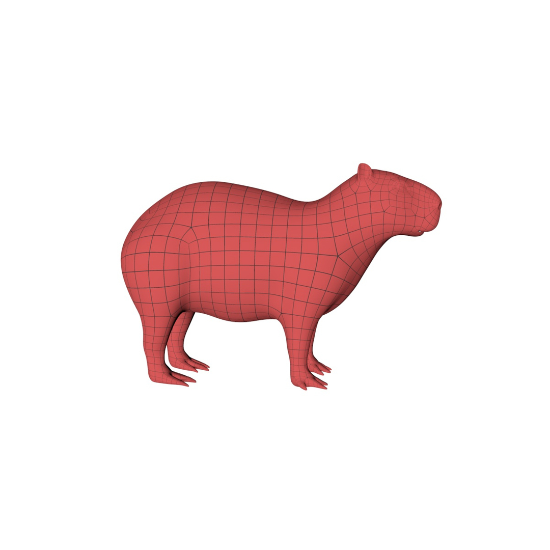 3D Base Mesh Capybara - TurboSquid 1259257