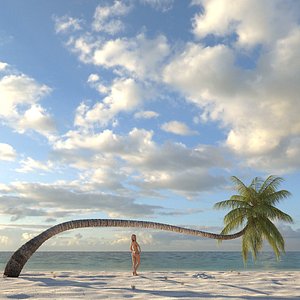 3dsmax coconut palm tree